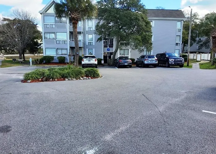 Arcadian Dunes 312